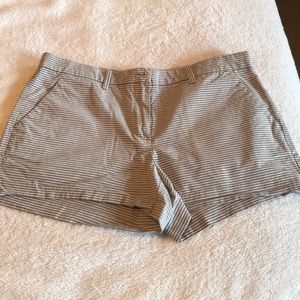 Size 6 gap shorts